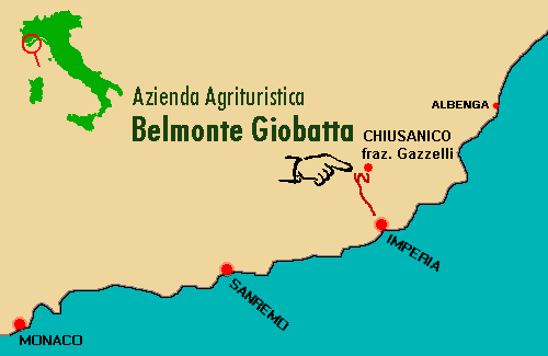 ubicazione dell'azienda