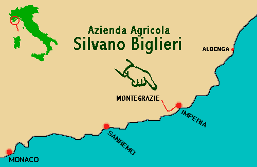 ubicazione dell'azienda