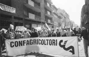 manifestazione