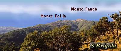 monti Faudo e Follia - foto (C) Pellegrini