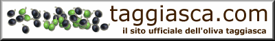 banner taggiasca.com