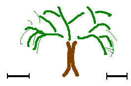 area di concimazione