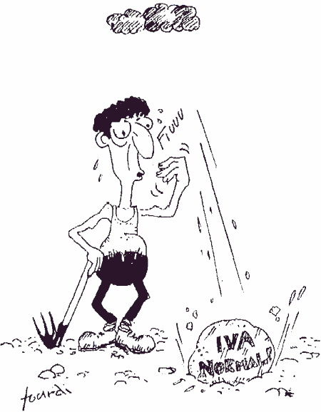 La vignetta